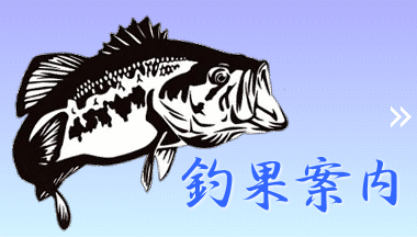 釣果案内リンク